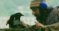 Four Lions